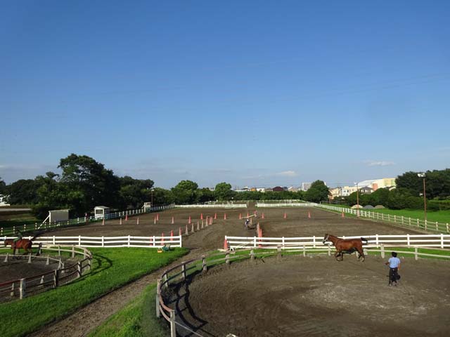 日本乗馬倶楽部