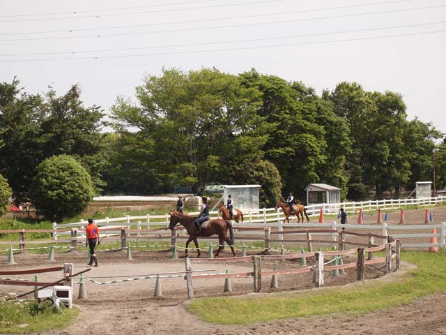 日本乗馬倶楽部