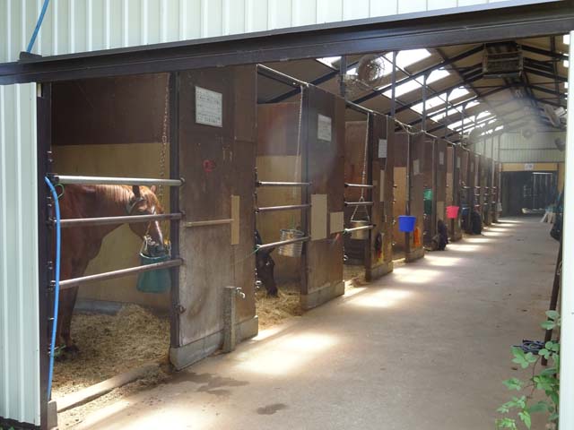 日本乗馬倶楽部